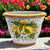 TOSCANA PLANTERS: Round Tuscan planter/vase 'Campana' - Strong Terracotta indoor/outdoor freeze resistant - POSITANO Design